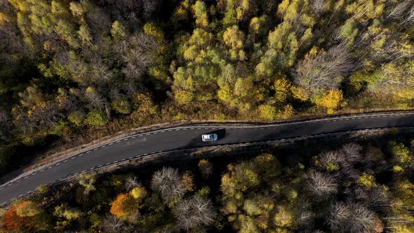 Flying Above a White Car Driving on Colorful Autumn Forest Road, Aerial View