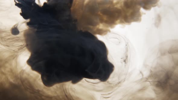 Black and White Ink Mix in Water alt