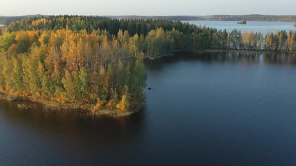 The Landscape View of the Trees on the Side of Lake Saimaa in Finland