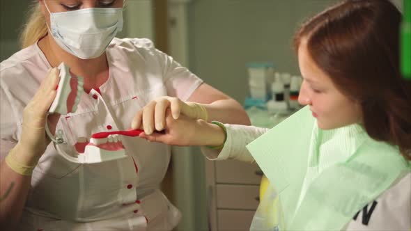 Young Female Dentist Show Her Teenage Patient Girl How to Clean Teeth