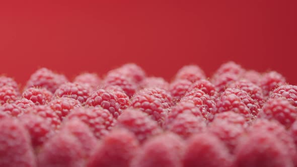 Close Up Rotation Raspberries on Red Background