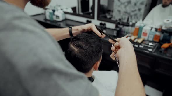 Haircut and Beard Haircut in Barbershop. 