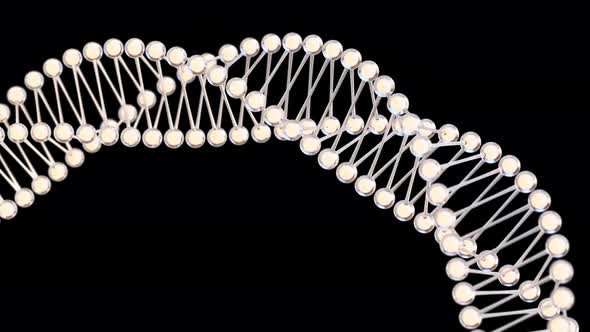 Biology molecules structure