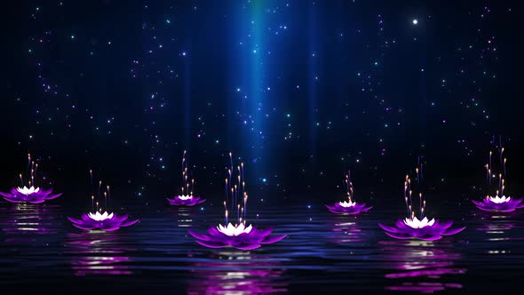 Beautiful Water Surface Lotus Particle Rising Background