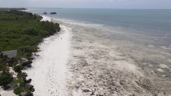 Low Tide in the Ocean Near the Coast of Zanzibar Island Tanzania