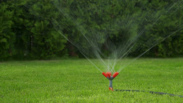 The Grass Lawn in the Backyard of the House is Watered with a Sprinkler System on a Summer Day