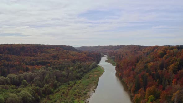 Slow drone flight over the Isar river surrounded by wonderful autumn treetops of a forest: Drone sho