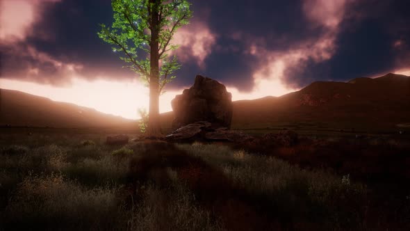 Aerial Green Hills Landscape in Fog alt