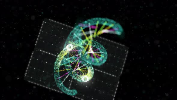 Evolution Of Genome Can Be Observed In 3d Visualization Of DNA Molecule alt
