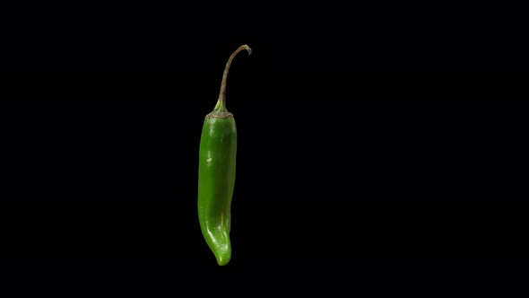 Realistic Green Chili With Alpha Channel