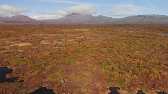 Thingvellir Air View in Autumn Iceland