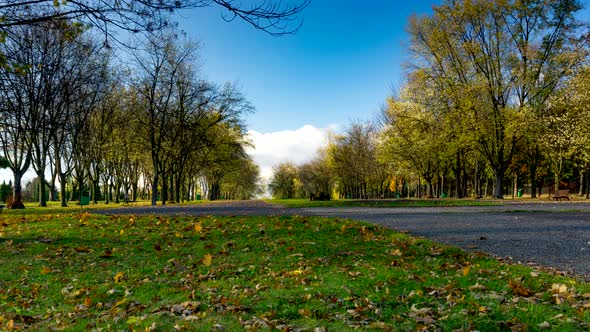 Autumn day in the city park.