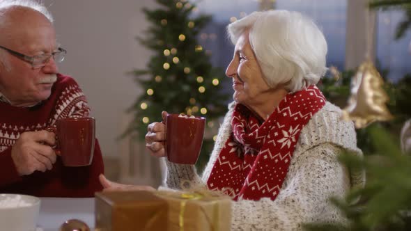 Senior Couple Drinking Cocoa on Christmas