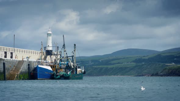 Harbor Scene With Boat And Seagulls