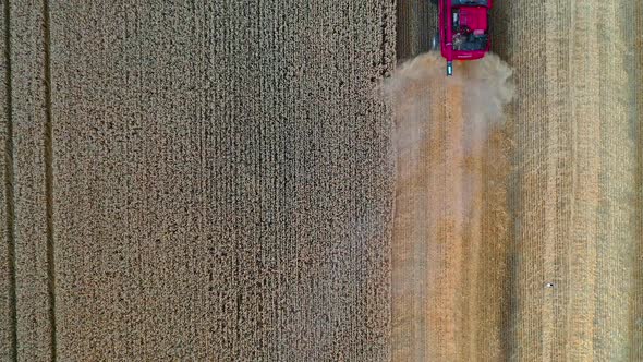 Heavy technics in wheat field.