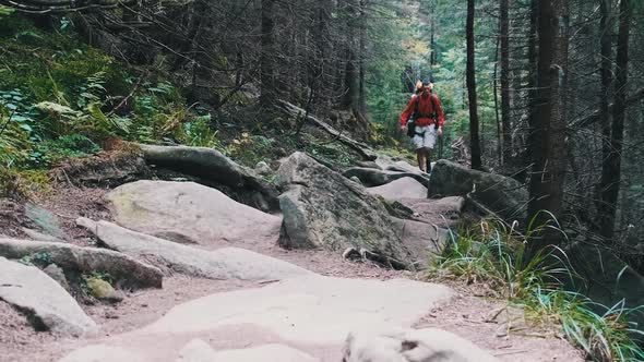 Tourist with a Backpack Goes Down Along the Stone Trail in Mountain Forest.
