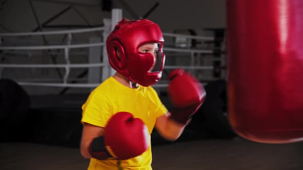 Little Boy Boxer Punching a Big Punching Bag on Training