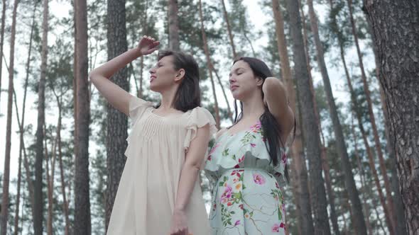 Portrait Two Cute Young Women Wear Dresses Standing Against the Background of a Pine Forest