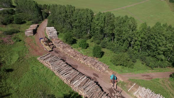 The Deforestation of Siberia Economic and Environmental Problems in Russian Forest Management