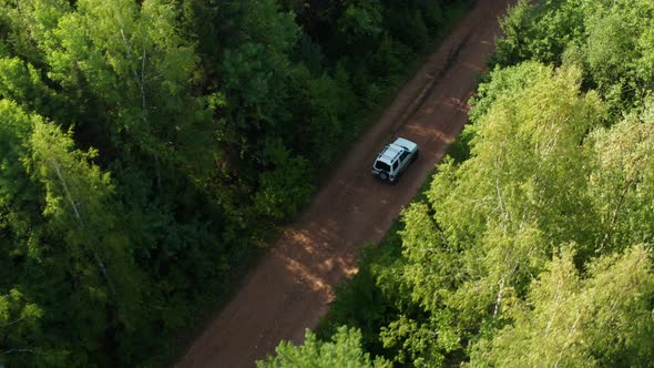 Travelers Drive a Car in the Forest