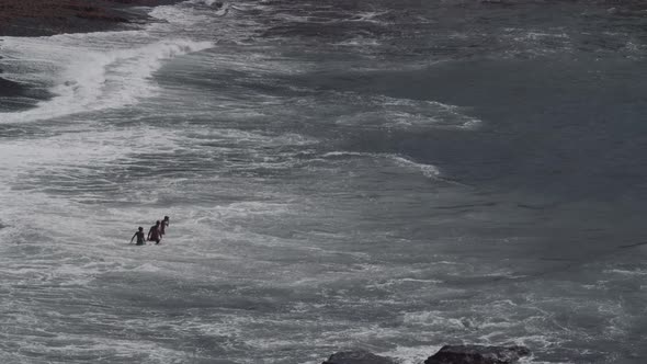 Dangerous swimming in strong ocean waves