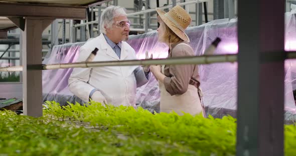 Desperate Caucasian Female Agronomist in Straw Hat Talking with Mature Grey-haired Male Scientist