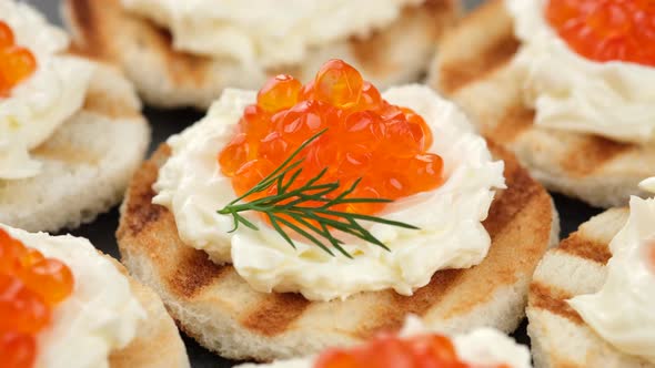 red caviar sandwiches with soft cheese close up rotation