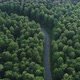 Aerial View of Green Forest with Road and Moving Red Car - VideoHive Item for Sale
