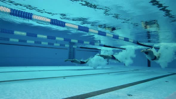 Swimmers Dive Into the Swimming Pool