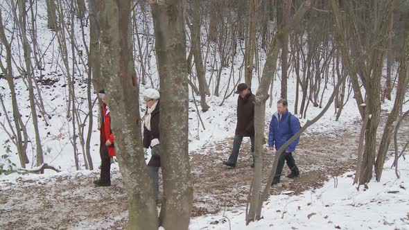 Steadicam in the Wood