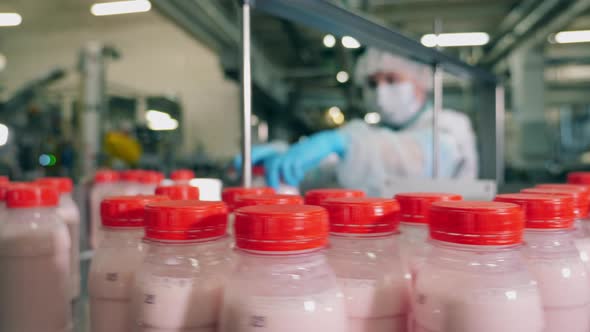 Factory Worker Takes Bottles with Yogurt From a Conveyor.