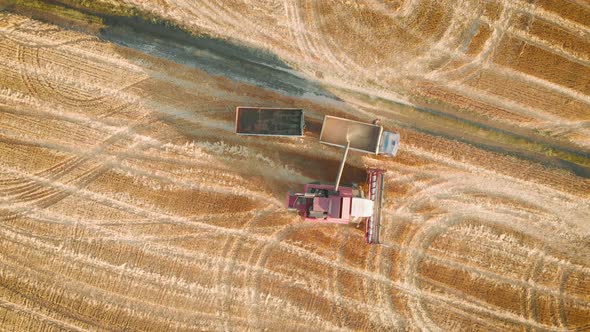 Top View Harvester Combine Pours the Grain Into the Truck on the Field. Threshing Machine Pouring