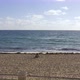 View at Sunny Sand Beach and Rolling Waves in Miami in USA - VideoHive Item for Sale