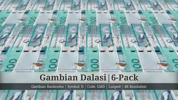 Gambian Dalasi | Gambia Currency - 6 Pack | 4K Resolution | Looped