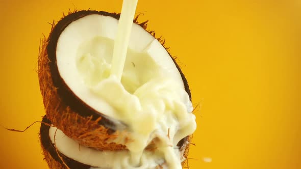 Splash of milk in a coconut on an orange background. Slow motion.