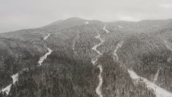 Spectacular aerial of dense forestry with rivers cutting through the landscape in Winter