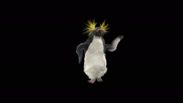 Penguin Dancing 4K