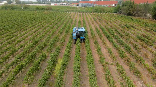 Aerial dolly out view of a blue grape harvester passing one of the vines, Talagante, Chile.