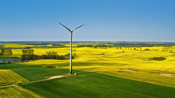 White wind turbine and green rape fields from above, Poland