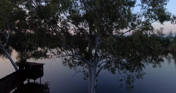 Drone shot starting behind tree  revealing trees and water reflections in lake  after sundown