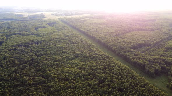 View Into the Distance From the Height of the Forest