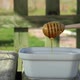 Liquid Honey - VideoHive Item for Sale