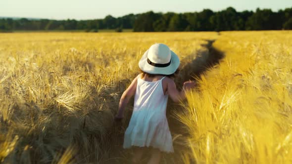 Happy girl running on footpath between wheat fields