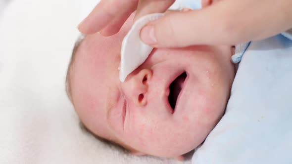 Closeup of Cleaning and Washing Baby's Face with Soft Cottong Pad