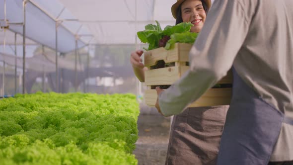 Two Asian couple farmers working in vegetable hydroponic farm carrying box with happiness.