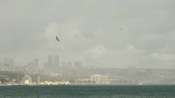 Snowstorm was coming at Istanbul but it was looking like a fog