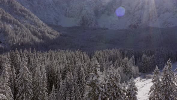 Winter landscape in the Italian Alps, Friuli Venezia Giulia