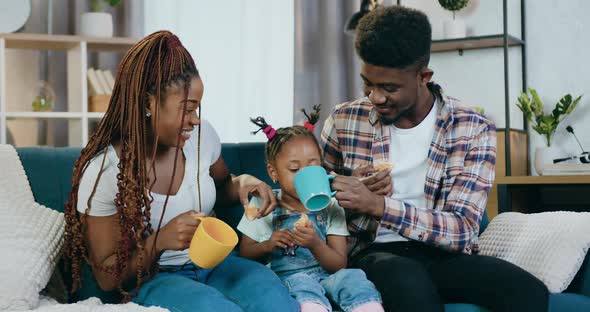 Afro American Parents Feeding Daughter with Cookies and Tea