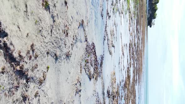 Vertical Video of Low Tide in the Ocean Near the Coast of Zanzibar Tanzania Aerial View