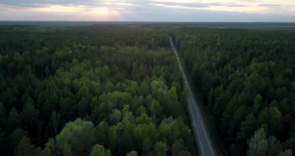 Bird Eye View Boundless Evergreen Wood and Modern Road